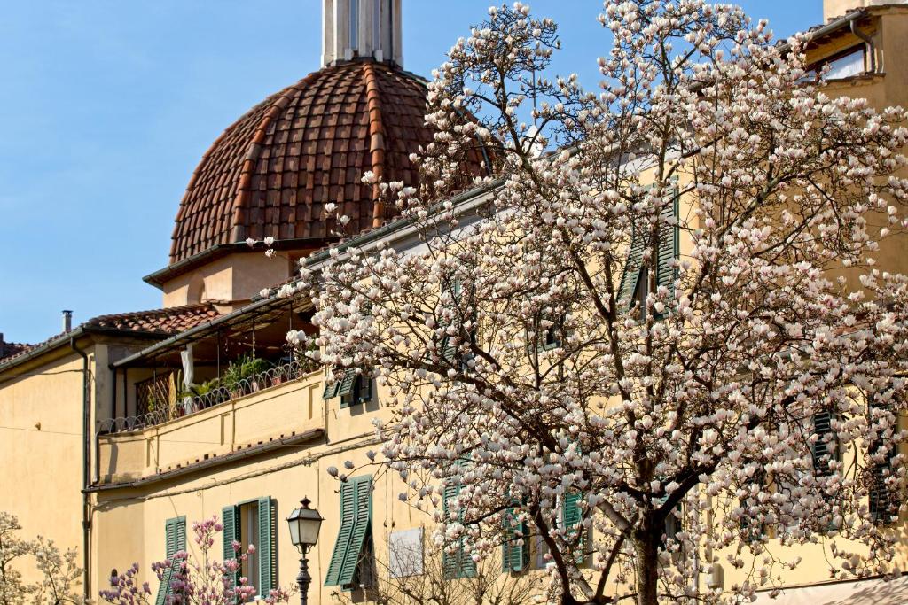 Casa San Girolamo Historic flat with cosy Terrace in Lucca's city Centre – Lucca