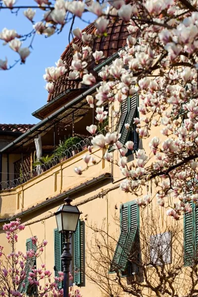 Casa San Girolamo Historic flat with cosy Terrace in Lucca's city Centre – Foto’s 6